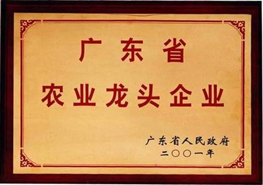 2001-2021年廣東省龍頭企業(yè)